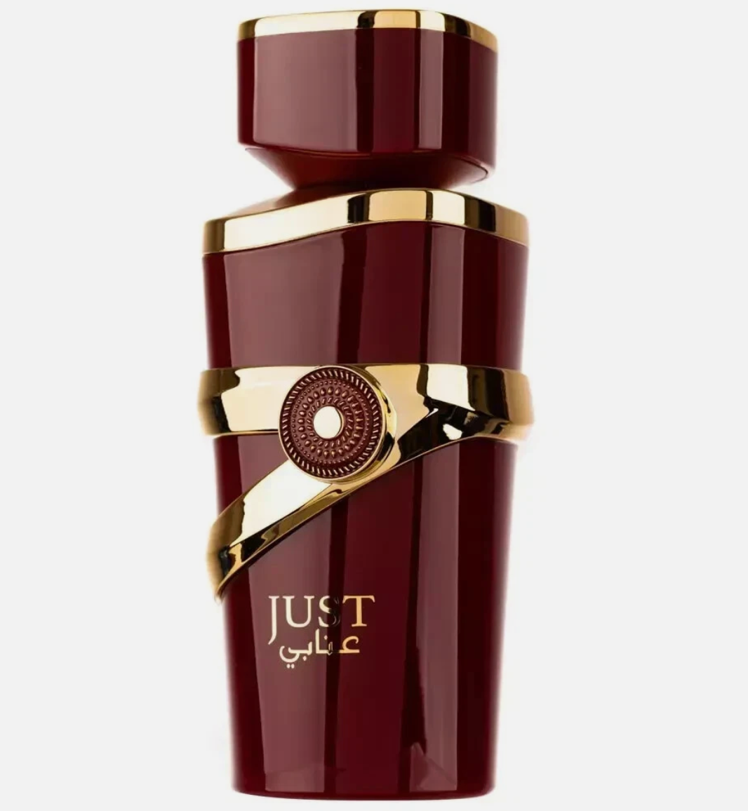 Just Anabi by Fragrance World | Eau De Parfum | 100ml